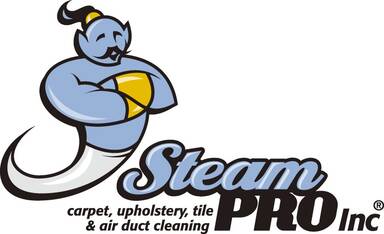Steam Pro & Duct Pro