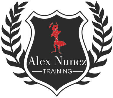 Alex Nunez Training
