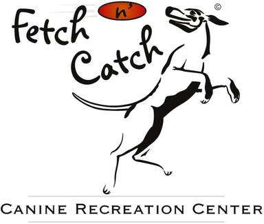 Fetch N' Catch Canine Recreation Center