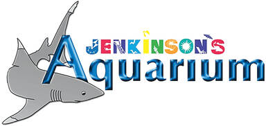 Jenkinson's Aquarium