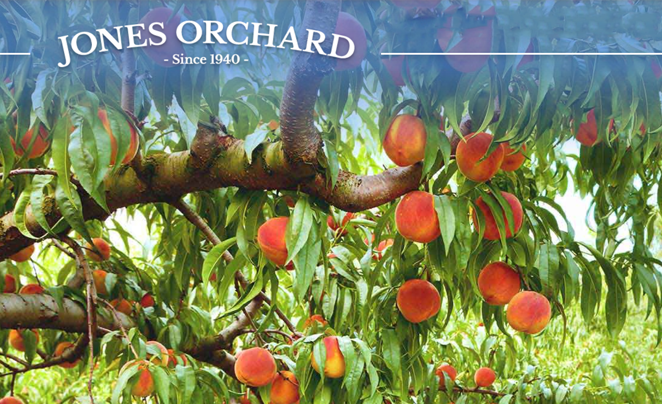 Jones Orchard